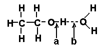 molecula polar.GIF